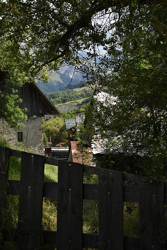 DSC_3079.JPG