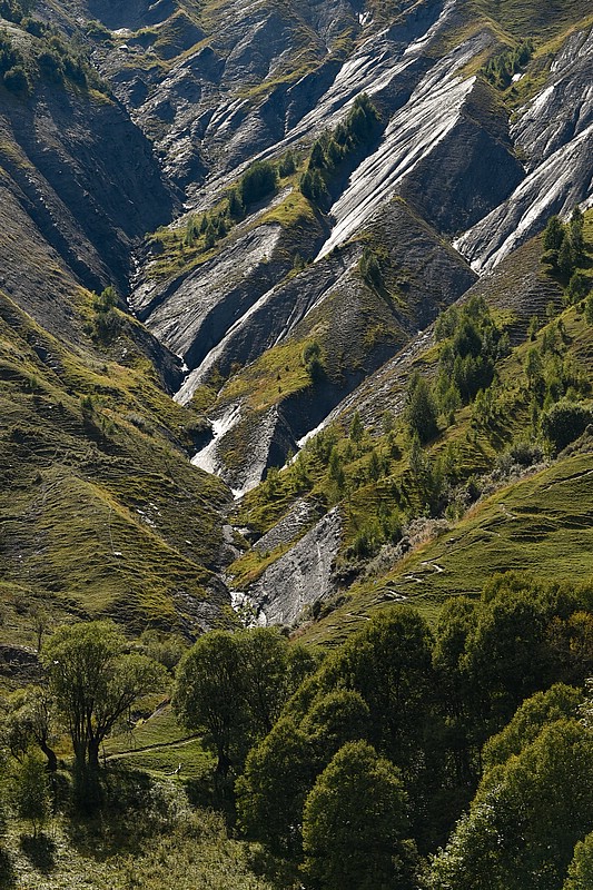 DSC_3084RAW.jpg