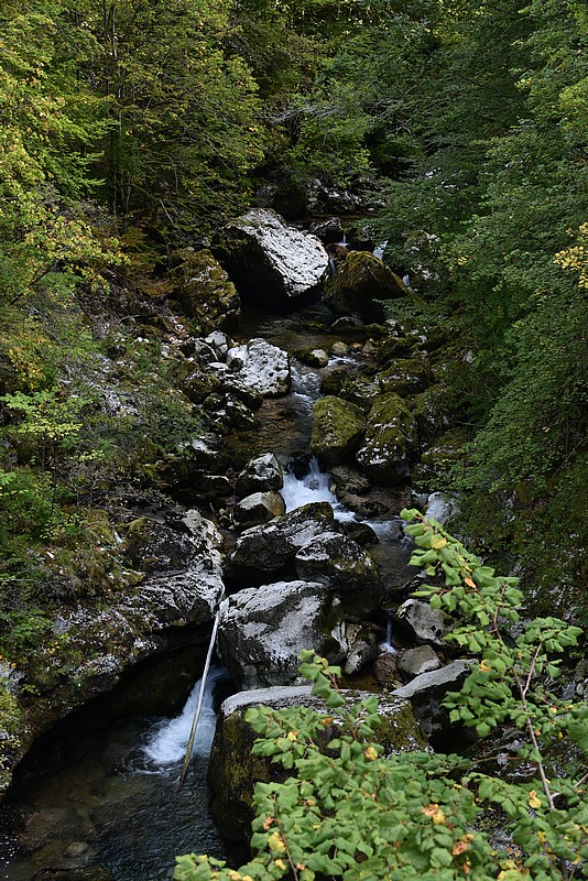 DSC_3256.JPG