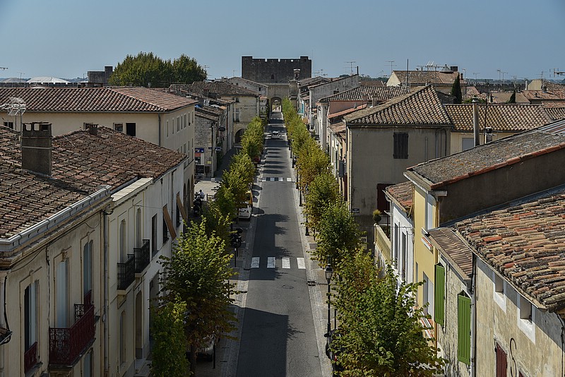 DSC_3435RAW.jpg