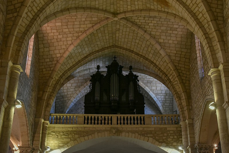 DSC_3496RAW.jpg