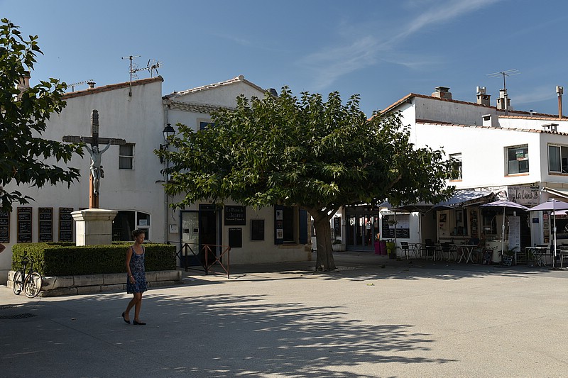 DSC_3516RAW.jpg