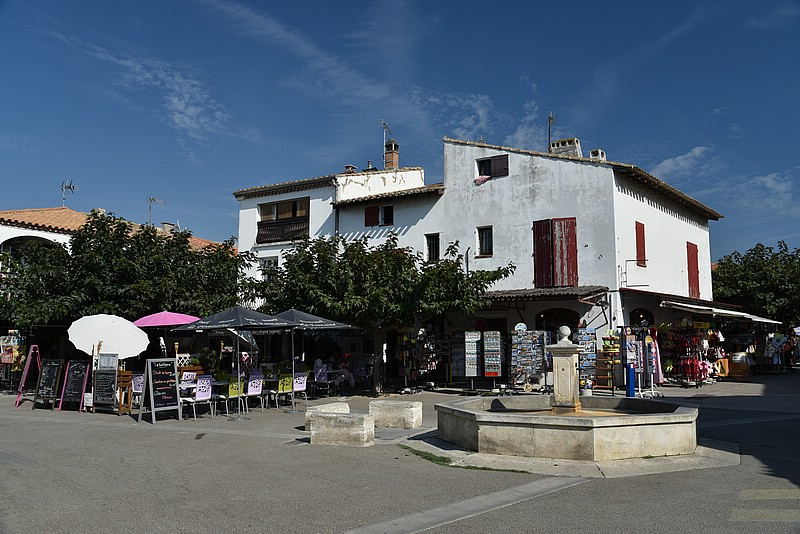 DSC_3523.JPG