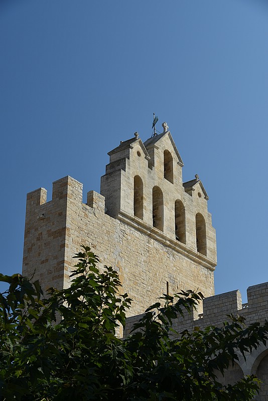 DSC_3524.JPG