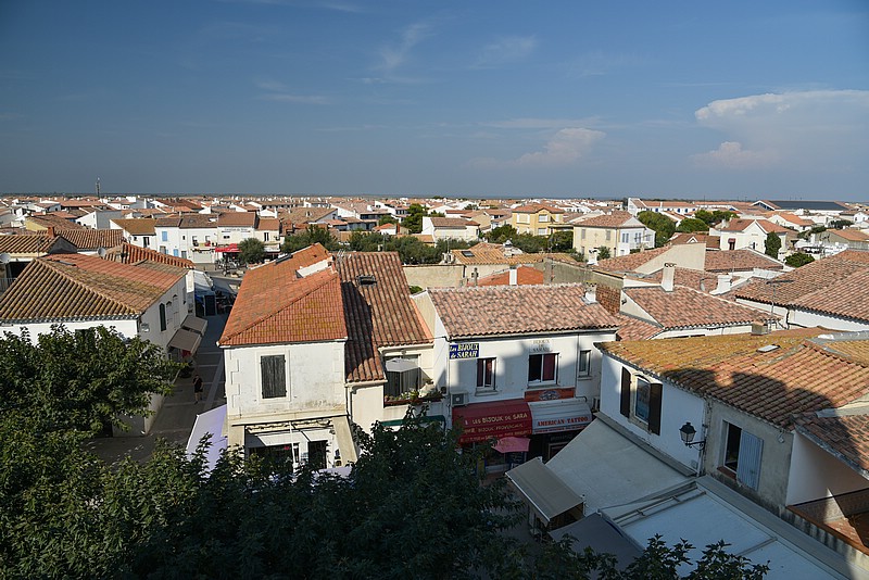 DSC_3552RAW.jpg