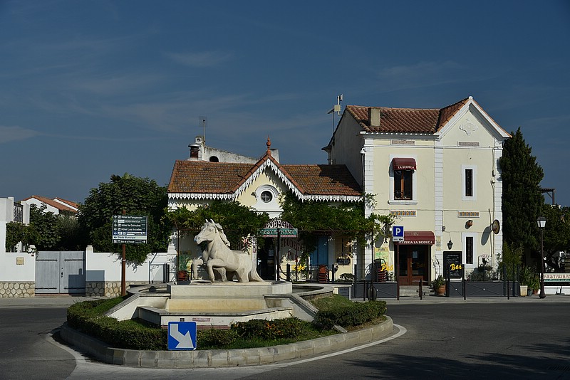 DSC_3554.JPG