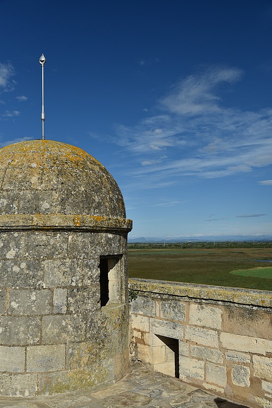 DSC_4640.JPG