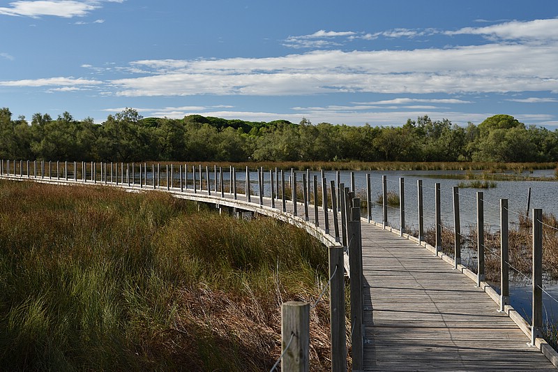 DSC_4643RAW.jpg