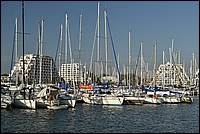DSC_3574RAW.jpg