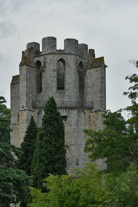 DSC_4084RAW.jpg