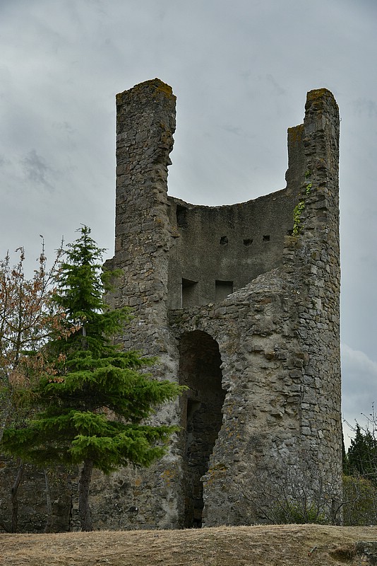 DSC_4093RAW.jpg