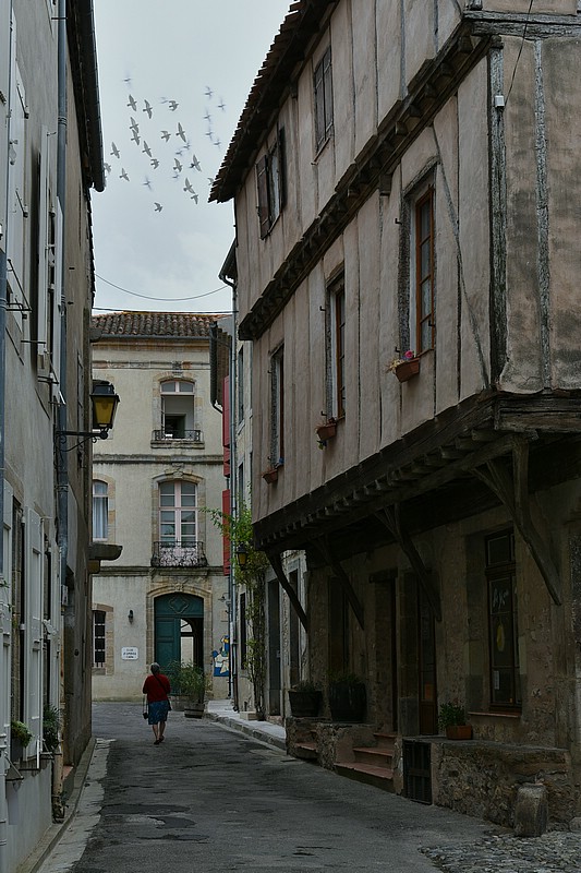 DSC_4119RAW.jpg