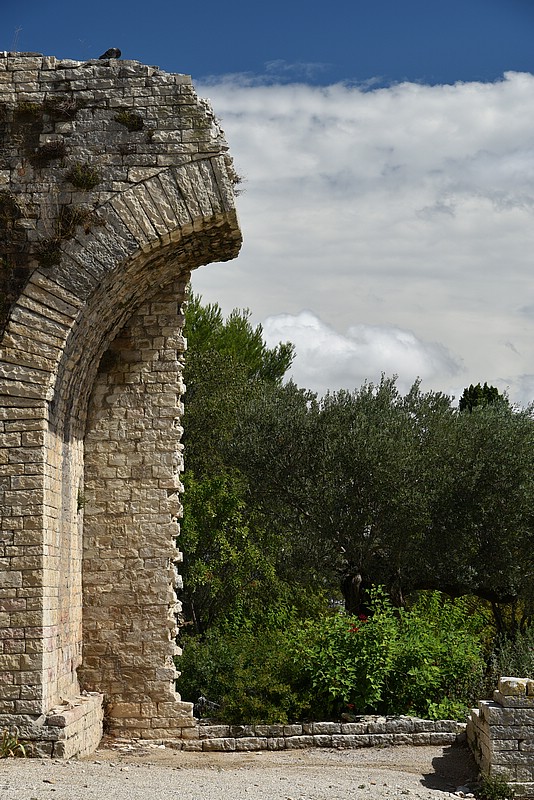 DSC_4299RAW.jpg