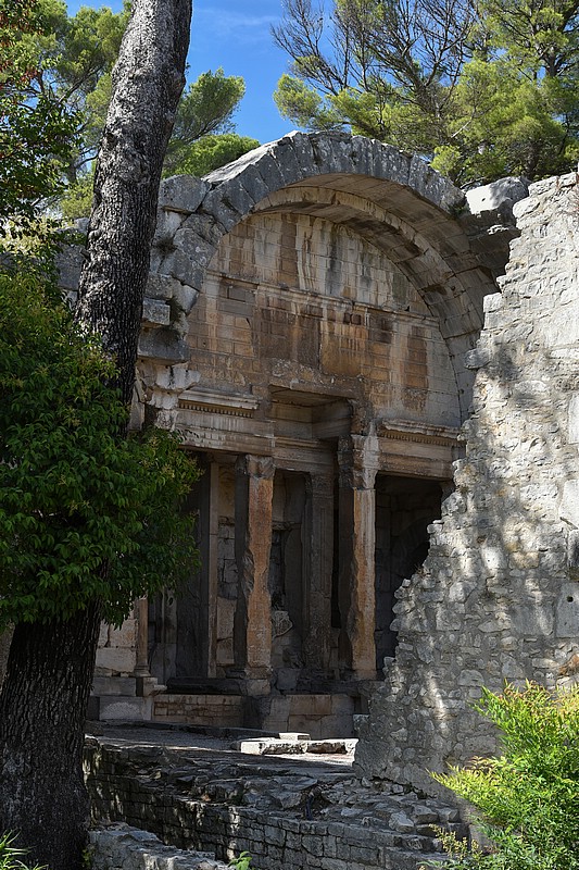 DSC_4331RAW.jpg