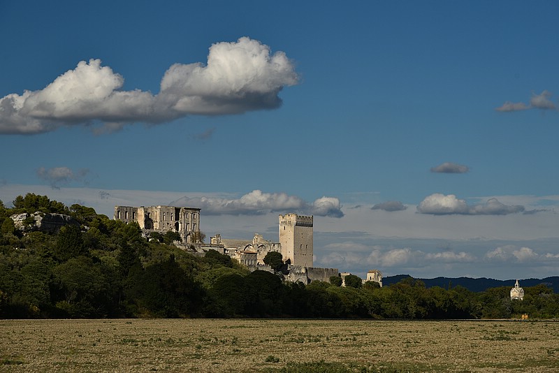 DSC_4603RAW.jpg