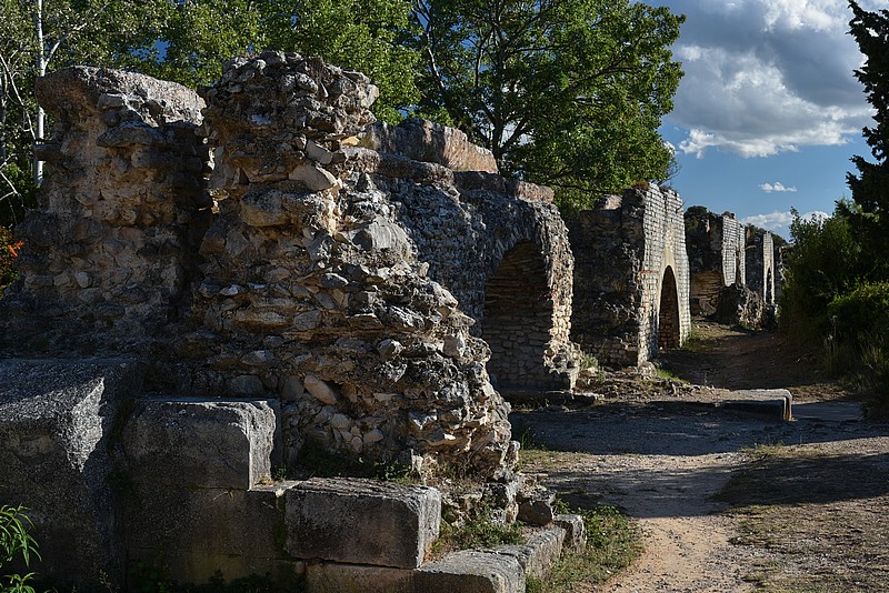 DSC_4608RAW.jpg