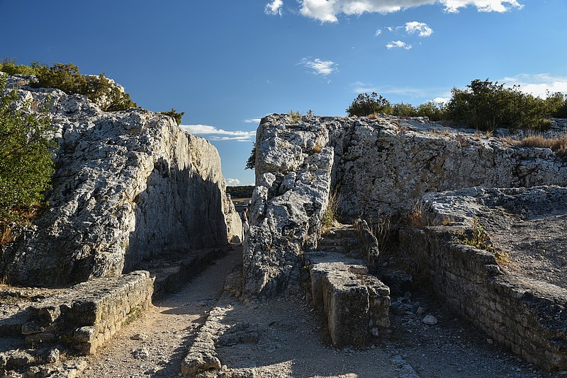 DSC_4616RAW.jpg