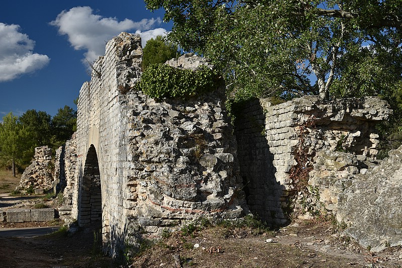 DSC_4629RAW.jpg