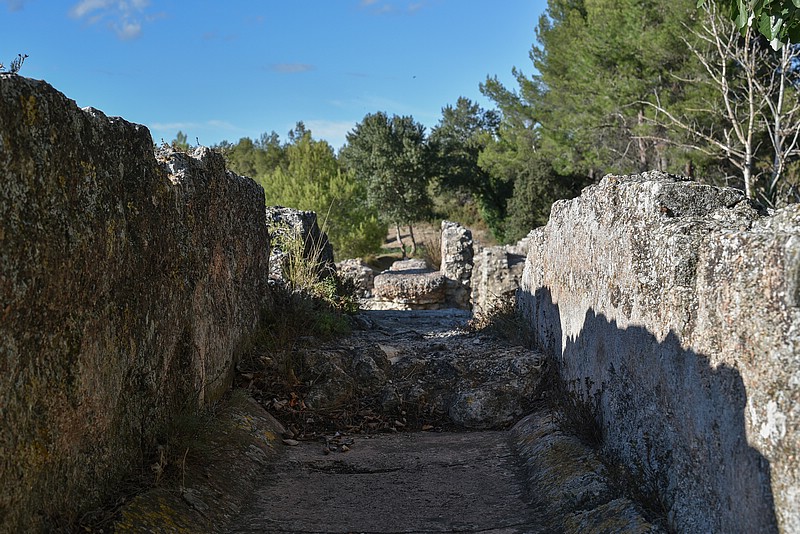 DSC_4630RAW.jpg