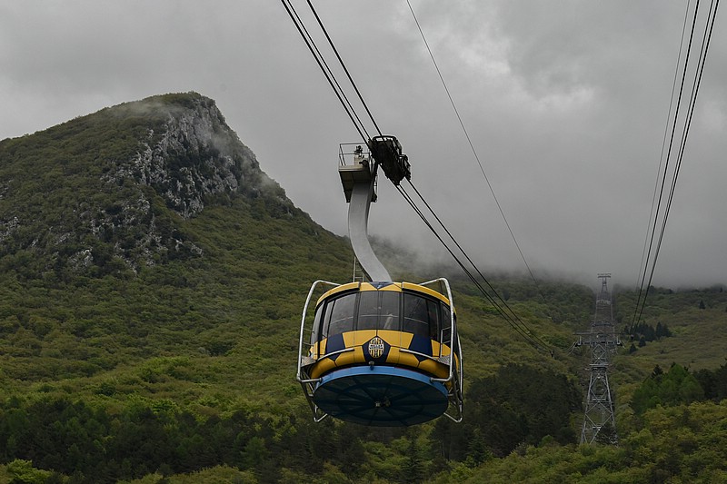 DSC_5100RAW.jpg