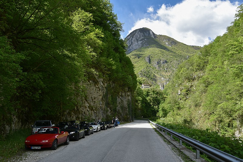 DSC_5181RAW.jpg