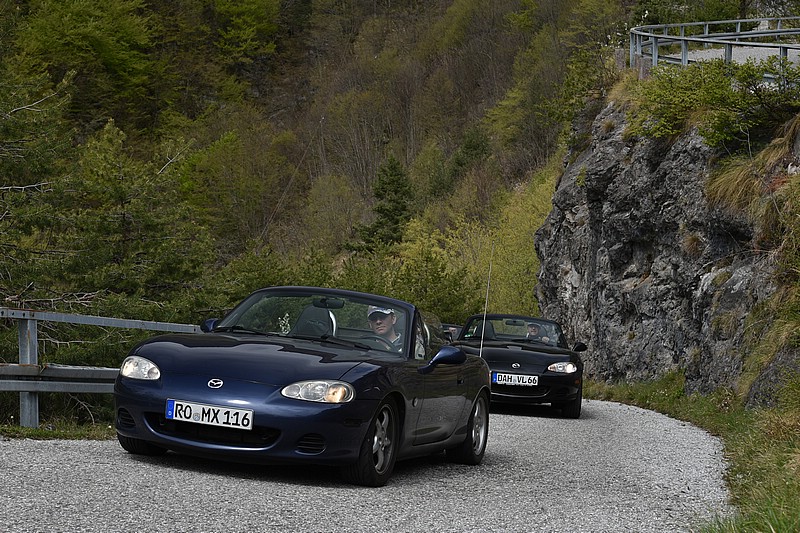 DSC_5310C.jpg