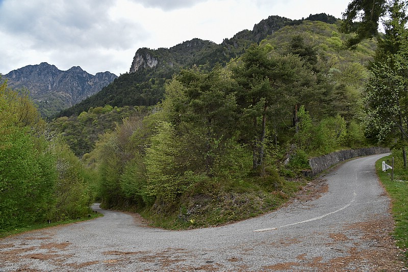 DSC_5325RAW.jpg