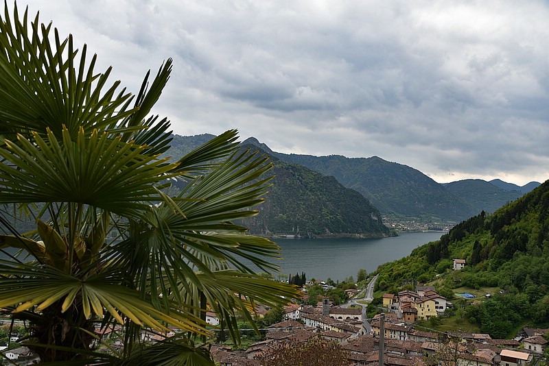 DSC_5351RAW.jpg