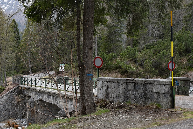 DSC_5356RAW.jpg