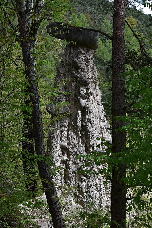 DSC_5873RAW.jpg
