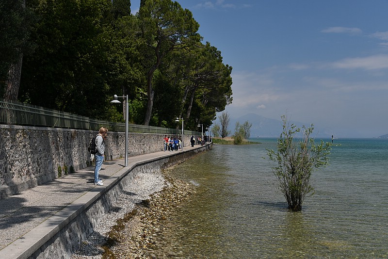 DSC_5954.JPG