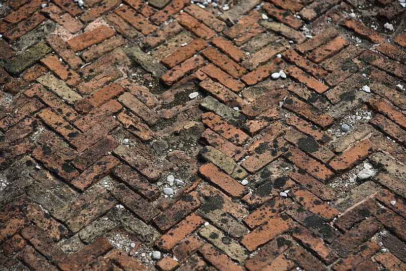 DSC_6002RAW.jpg