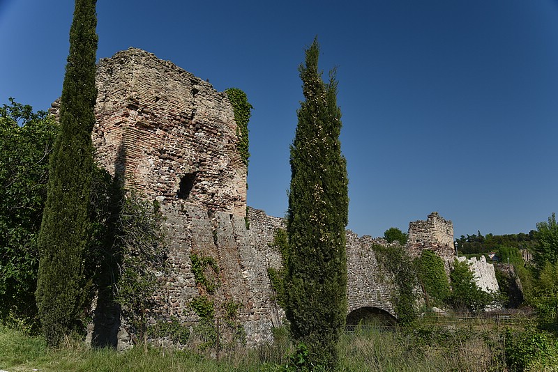 DSC_6150RAW.jpg