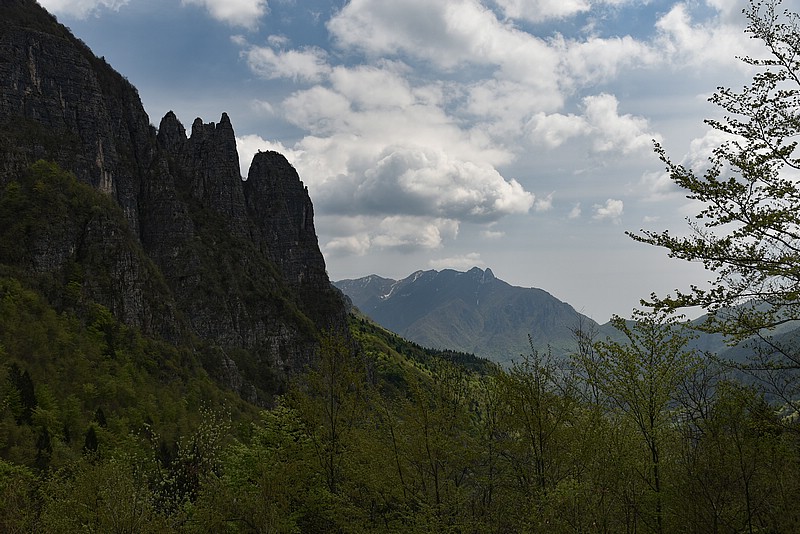 DSC_6177RAW.jpg