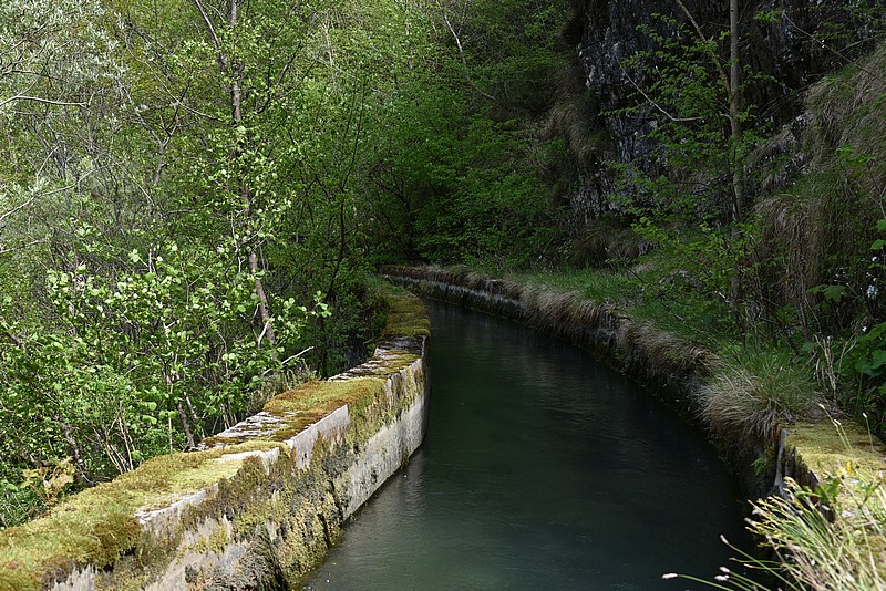 DSC_6192.JPG