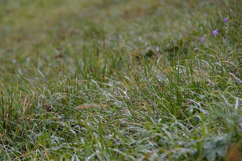 DSC_5891RAW.jpg