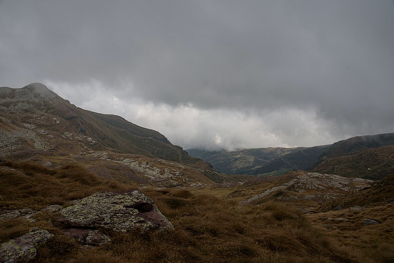 DSC_5932RAW.jpg
