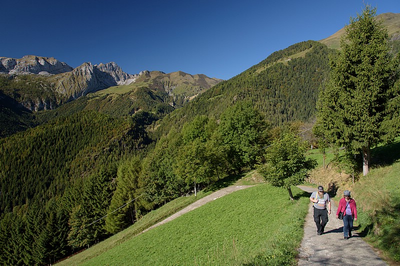 DSC_6040RAW.jpg
