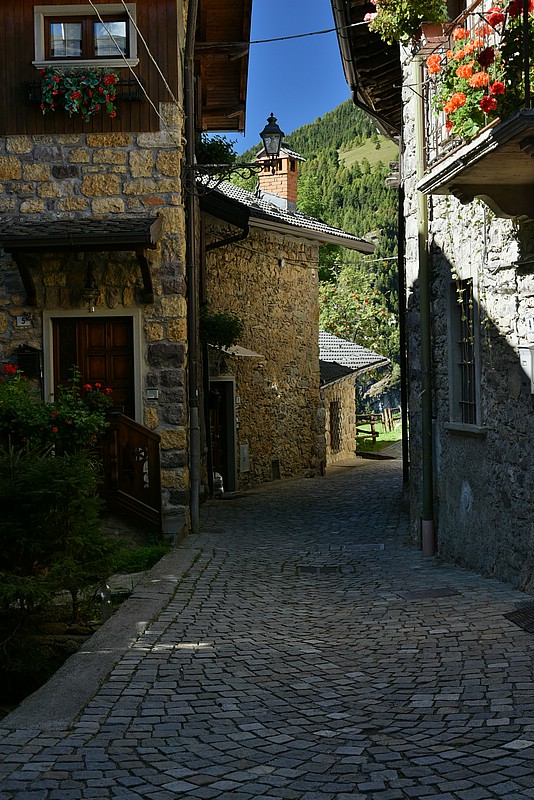 DSC_6121.JPG