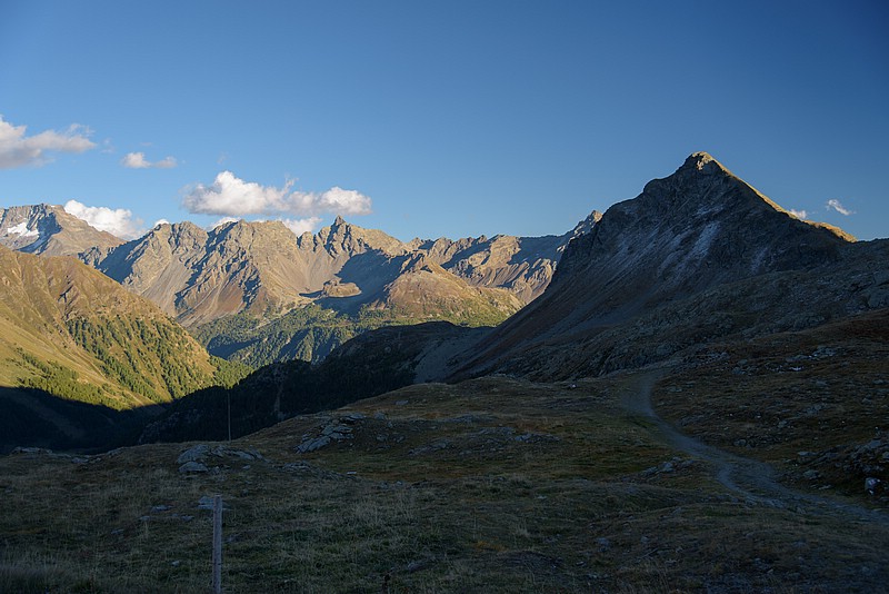 DSC_6141RAW.jpg