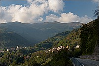 DSC_6017RAW.jpg