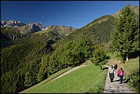 DSC_6040RAW.jpg