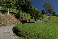 DSC_6117RAW.jpg