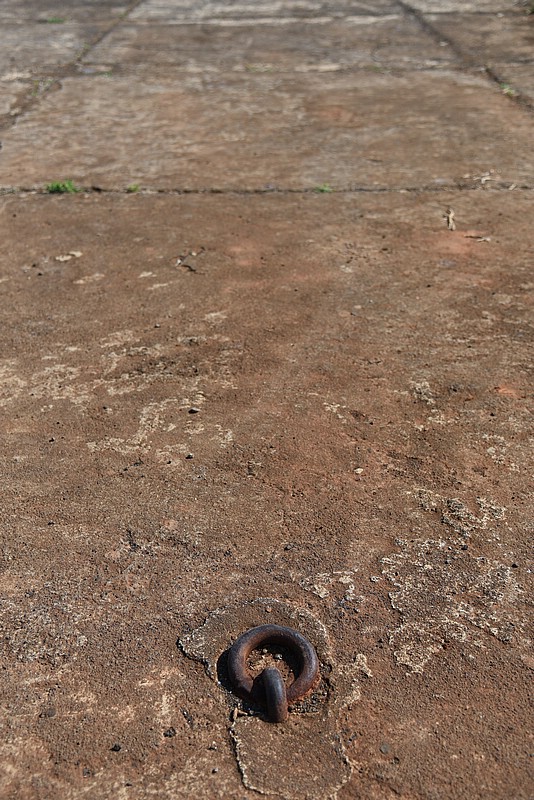 DSC_0629RAW.jpg