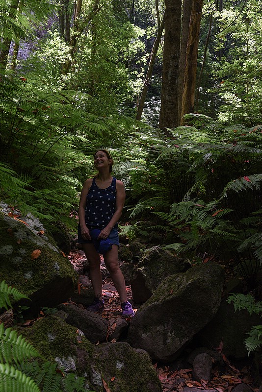 DSC_0728RAW.jpg