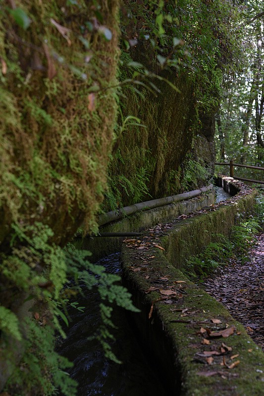 DSC_0772RAW.jpg