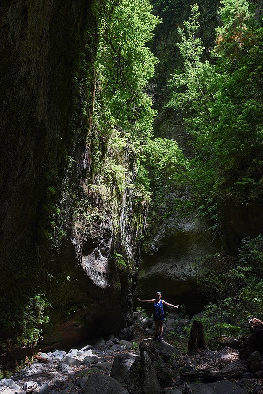 DSC_0819RAW.jpg