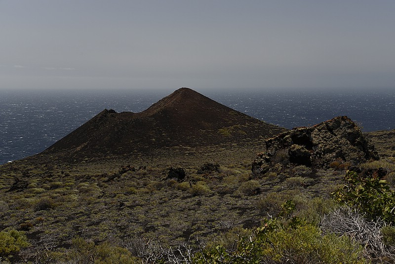 DSC_1267.JPG