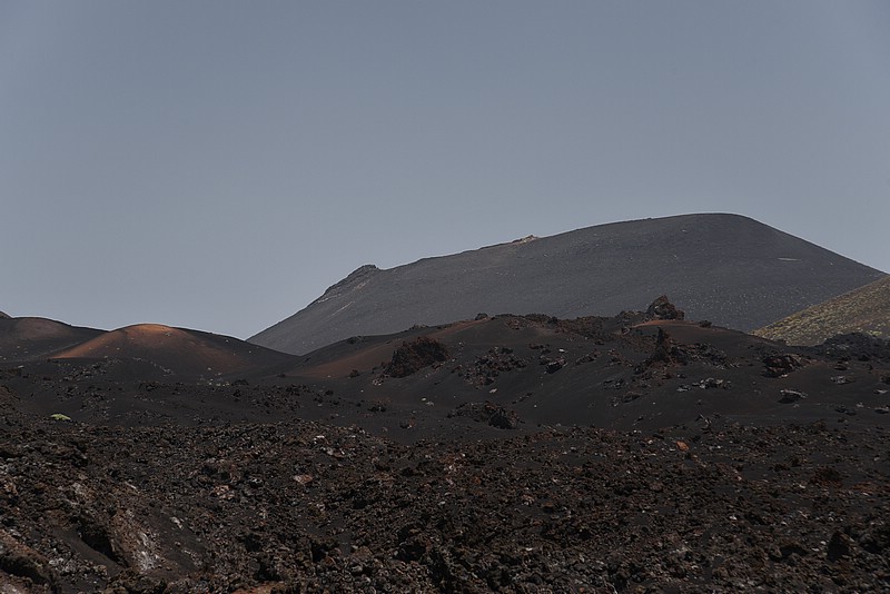 DSC_1279RAW.jpg