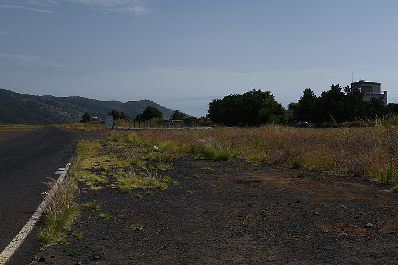 DSC_2280RAW.jpg